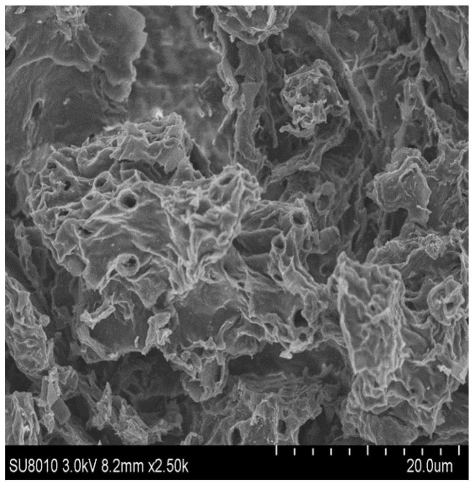 Preparation method and application of biomass carbon-based Fe single atom-N doped porous carbon material