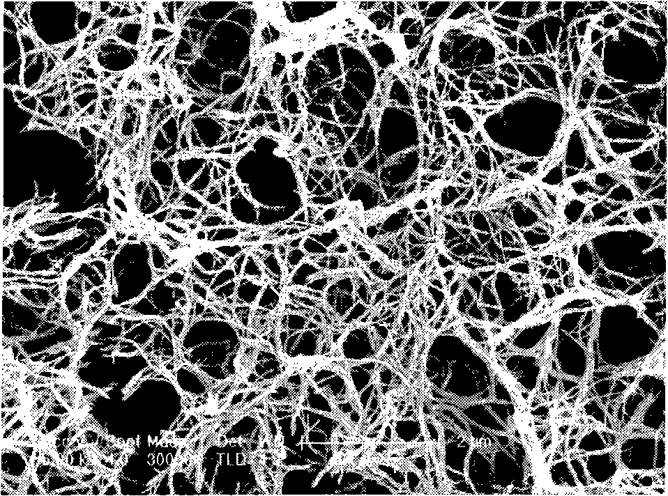 Titanium oxide nano wire film on metallic titanium surface and manufacture method thereof