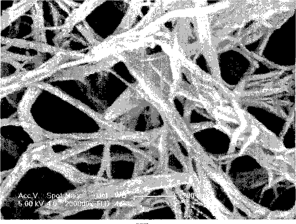 Titanium oxide nano wire film on metallic titanium surface and manufacture method thereof