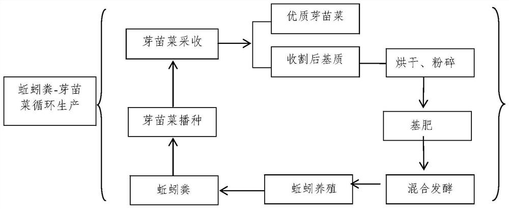 Ecological Planting Method of Sprouts under Rubber Forest