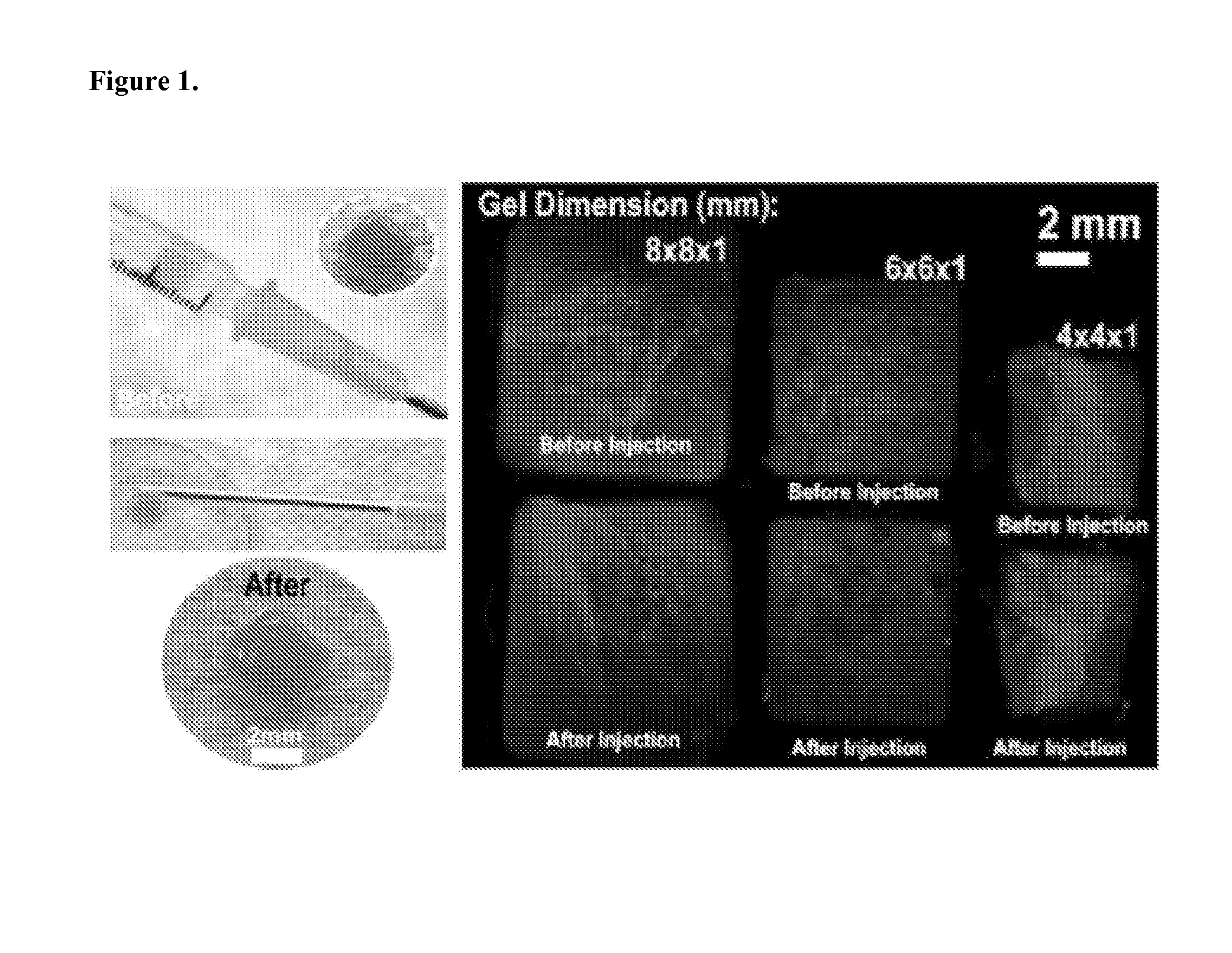 Injectable Preformed Macroscopic 3-Dimensional Scaffolds for Minimally Invasive Administration