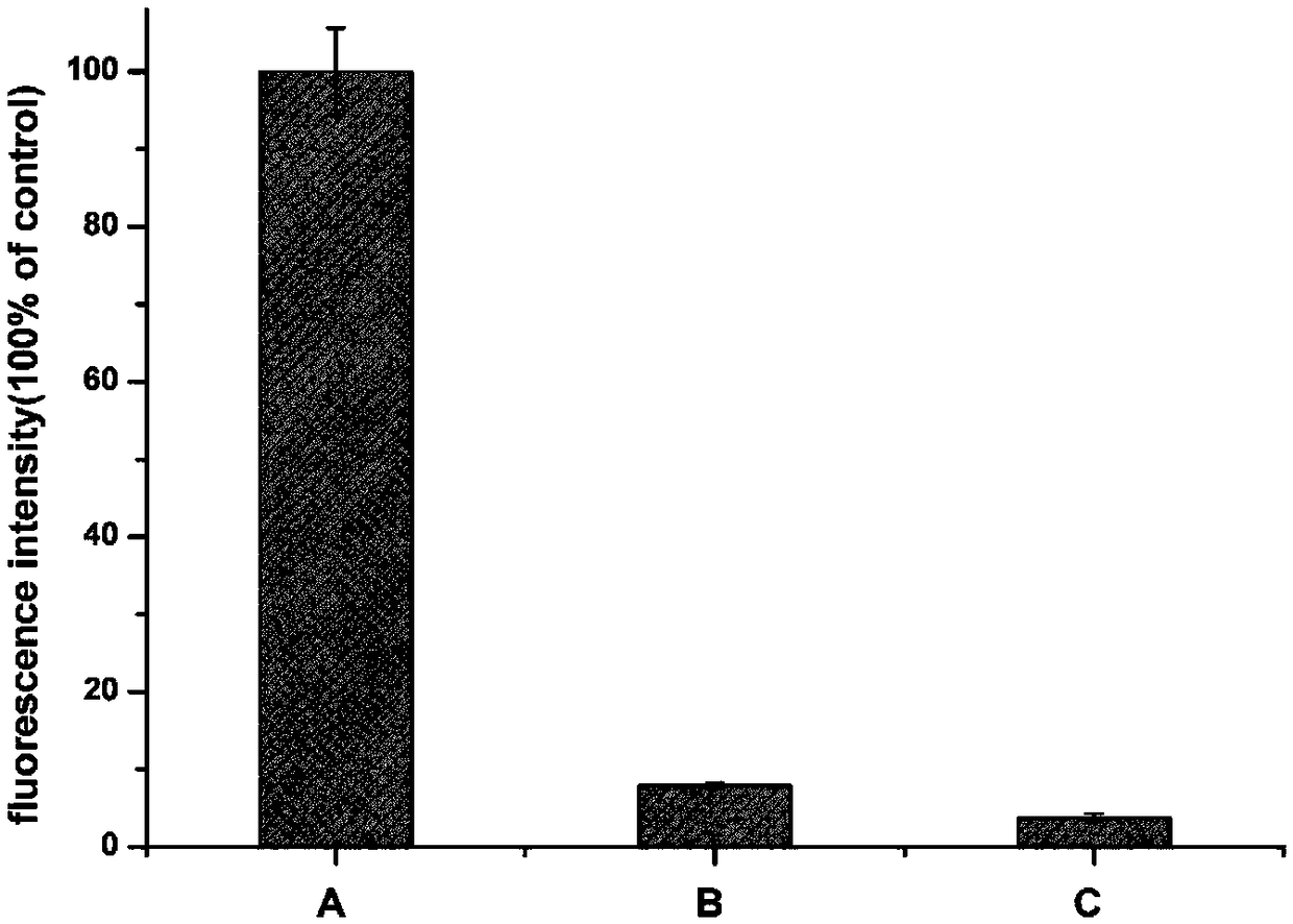 Mussel attachment protein/amphoteric ion polypeptide fusion protein with attachment-anti-staining dual functions and synthesis method