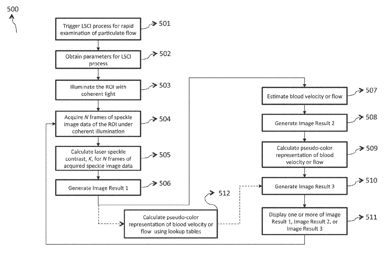 System and method for rapid examination of vasculature and particulate flow using laser speckle contrast imaging