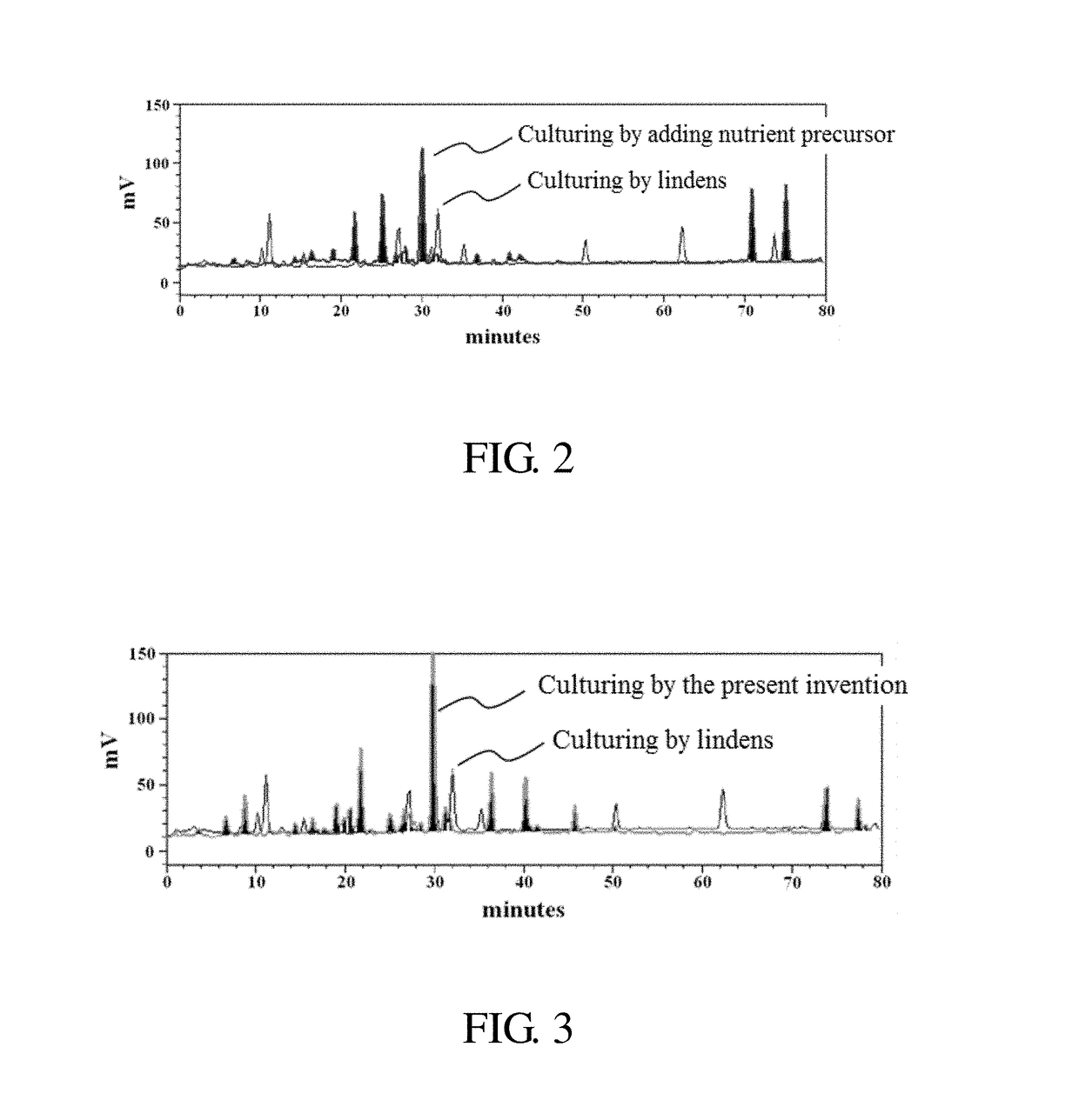 Method of culturing antrodia cinnamomea with high triterpenoids