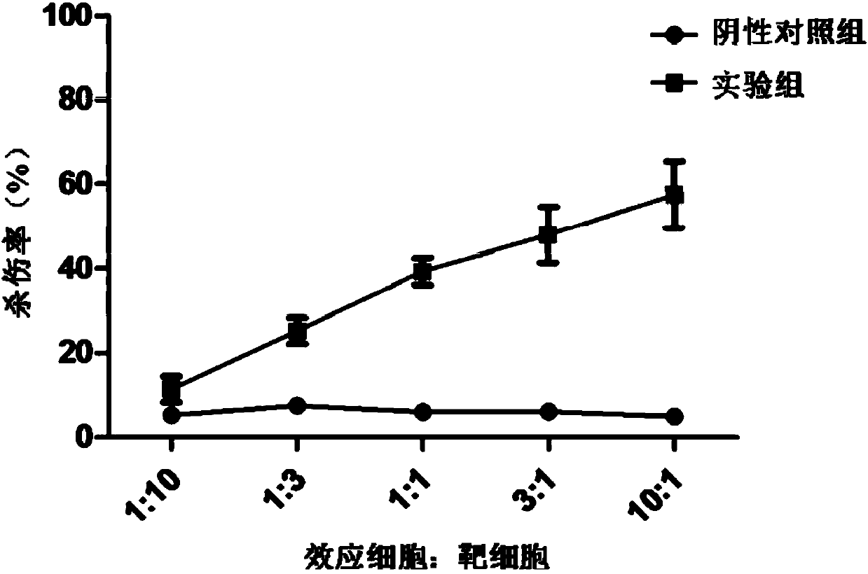 TCR knockout T cell receptor gene-modified T cell targeting NY-ESO-1, preparation method and application thereof