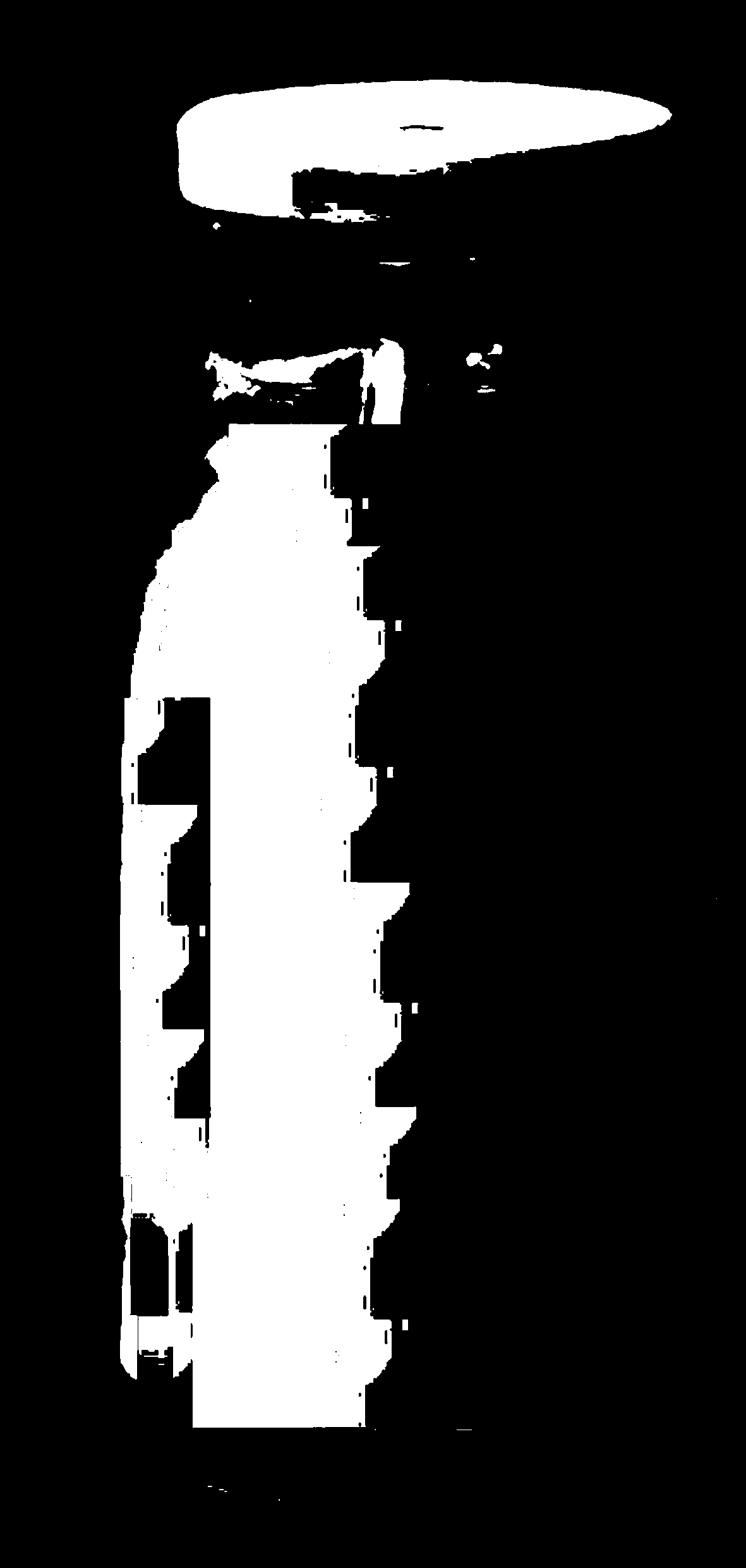 Tremella-fuciformis lucid-ganoderma complex suspension beverage and preparation method thereof