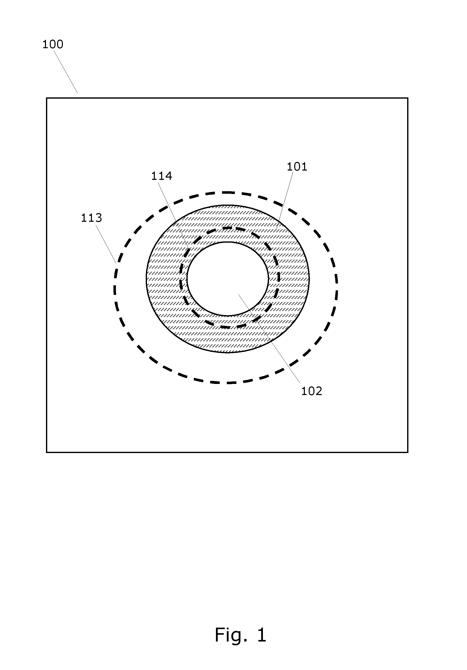 System for detecting blood vessel structures in medical images