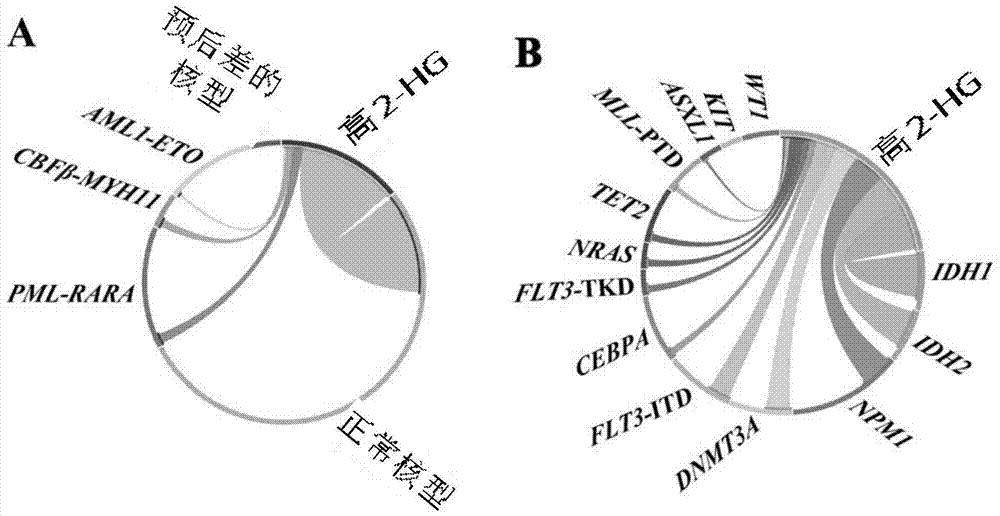 Use of 2-hydroxyglutaric acid or detection reagent thereof