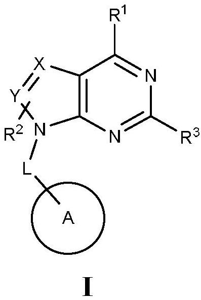 Pyrimido five-membered heterocyclic compounds or pharmaceutically acceptable salts and isomers thereof, preparation method of pyrimido five-membered heterocyclic compounds or pharmaceutically acceptable salts and isomers thereof, pharmaceutical compositions and application of pyrimido five-membered heterocyclic compounds or pharmaceutically acceptable salts and isomers thereof and pharmaceutical compositions