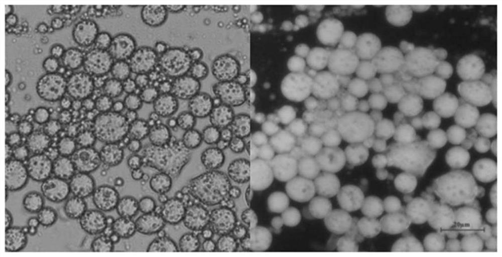 Preparation method of dual emulsion and application of dual emulsion to astaxanthin carrying