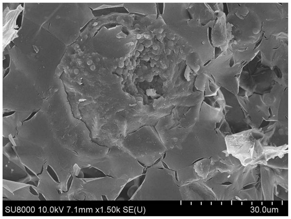 Preparation method of dual emulsion and application of dual emulsion to astaxanthin carrying