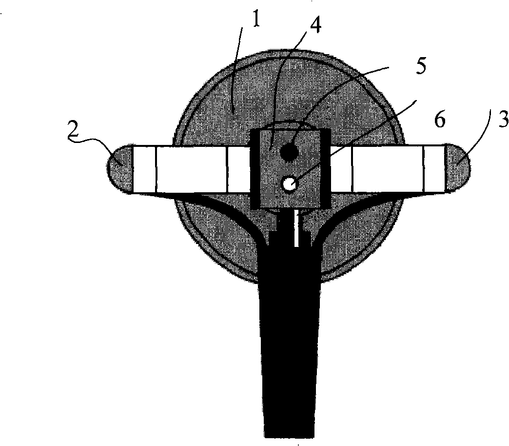 Electronic auscultation apparatus