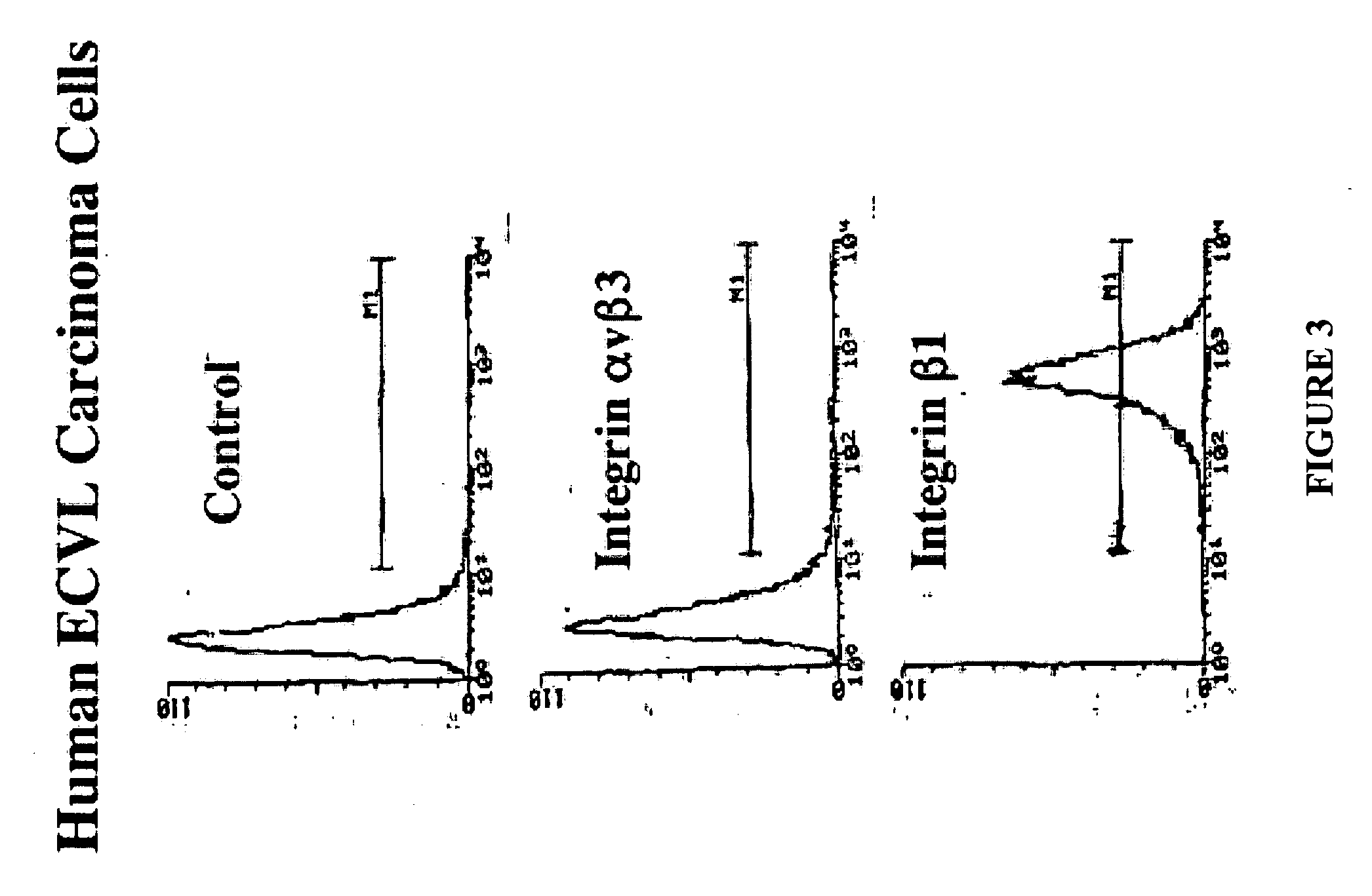 Inhibition of angiogenesis and tumor development by IGFBP-4