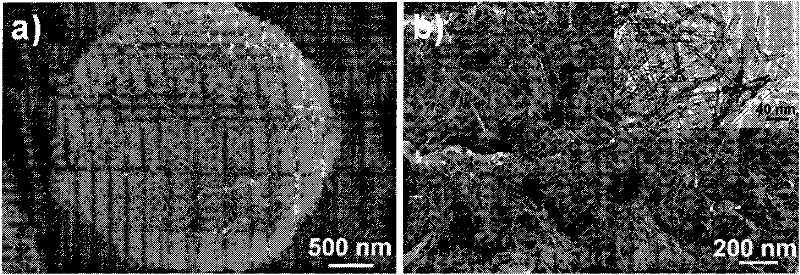 Titania nanotube/nanorod microspheres with hierarchical structure and preparation method thereof