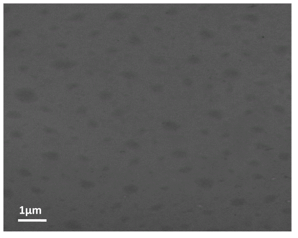 Polyvinyl alcohol/graphene oxide composite film preparation method