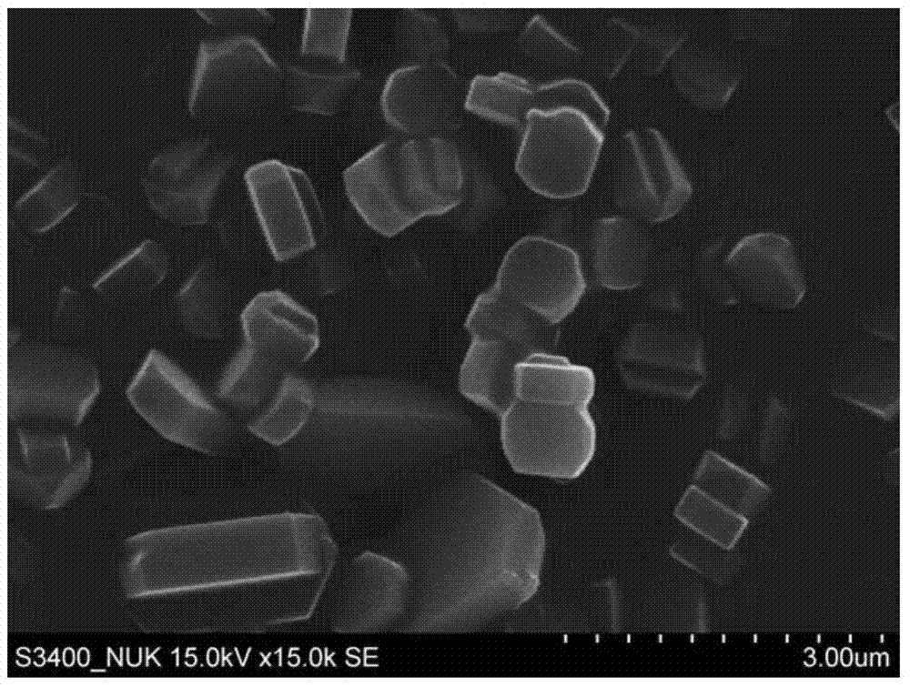 Preparation method of directional zeolite membrane