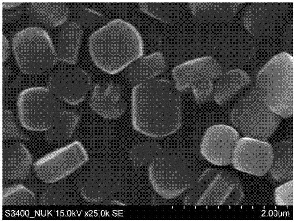 Preparation method of directional zeolite membrane