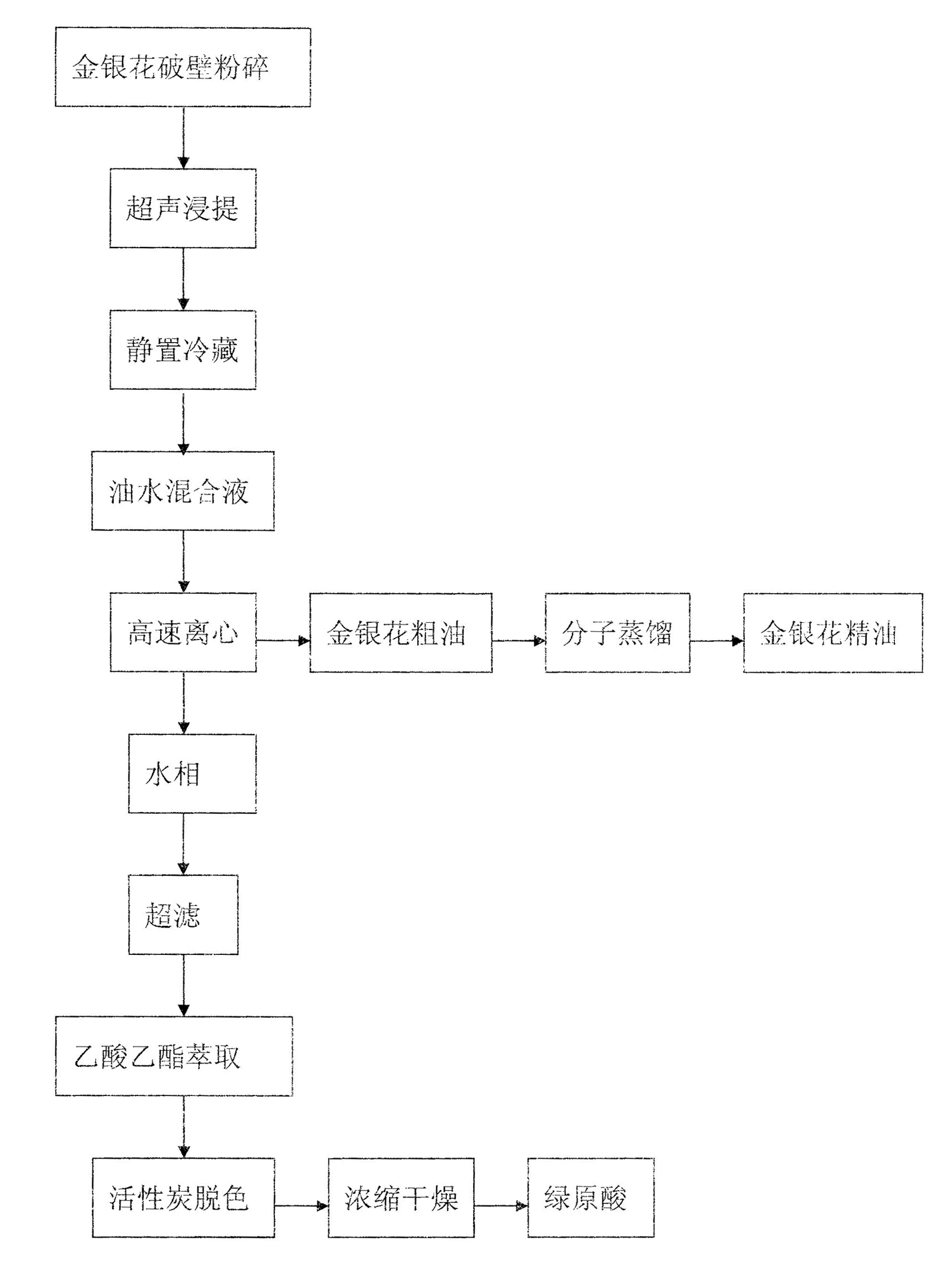 Novel method for simultaneously extracting and separating chlorogenic acid and honeysuckle flower essential oil from honeysuckle flower