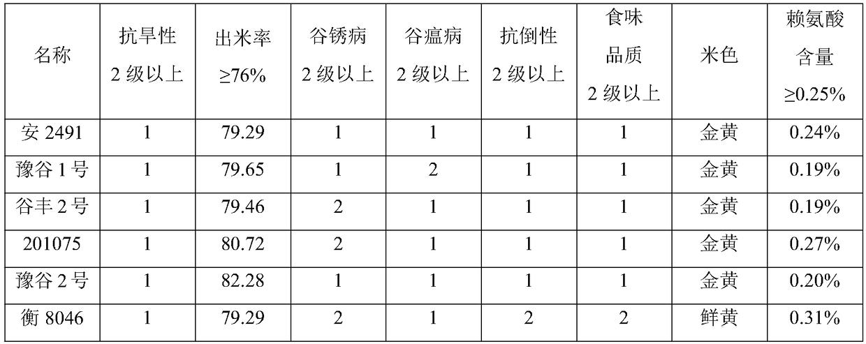 Breeding method for drought-resistant high-quality millet