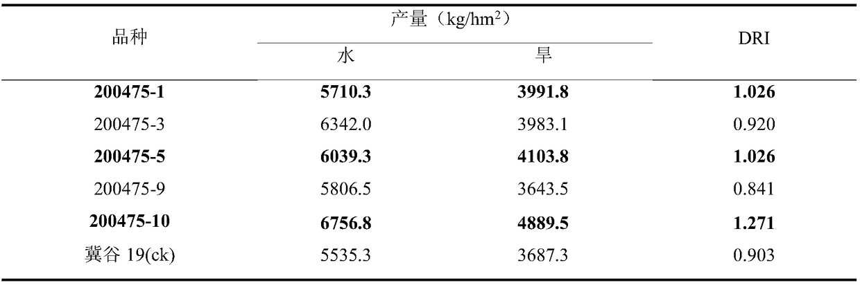 Breeding method for drought-resistant high-quality millet