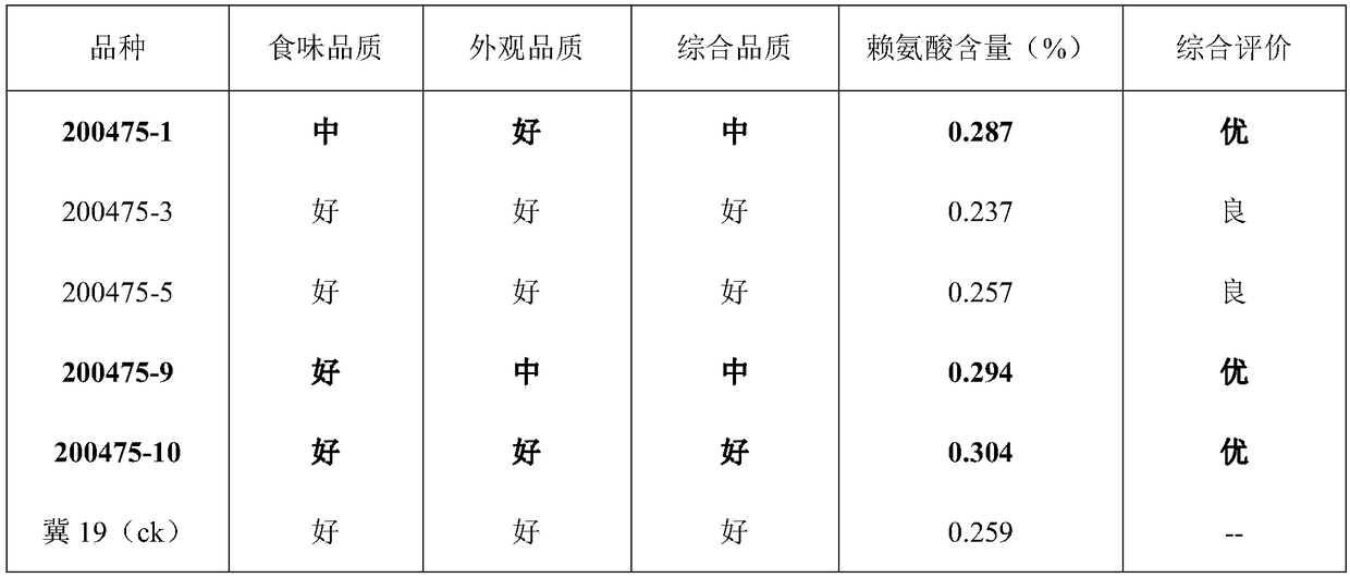 Breeding method for drought-resistant high-quality millet