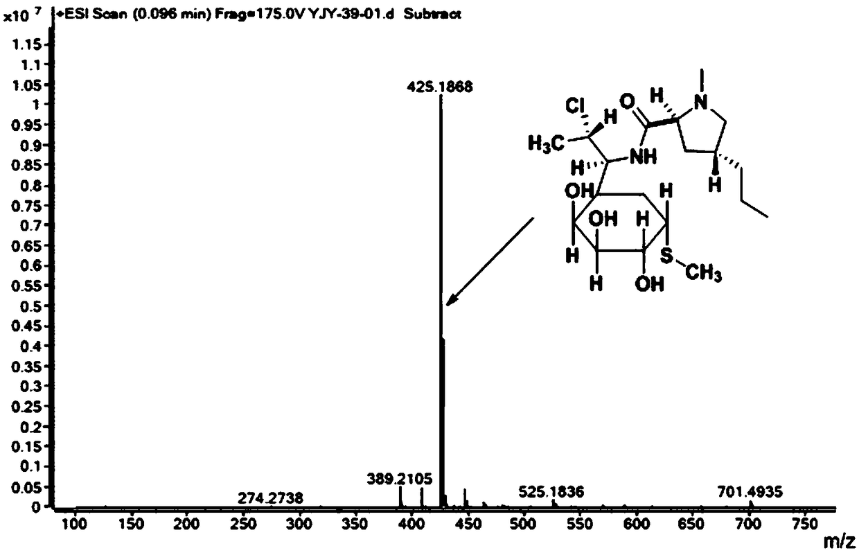 Lipase-calcium phosphate compound enzyme crystal, preparation method thereof and method for catalyzing and synthesizing clindamycin palmitate by using lipase-calcium phosphate compound enzyme crystal