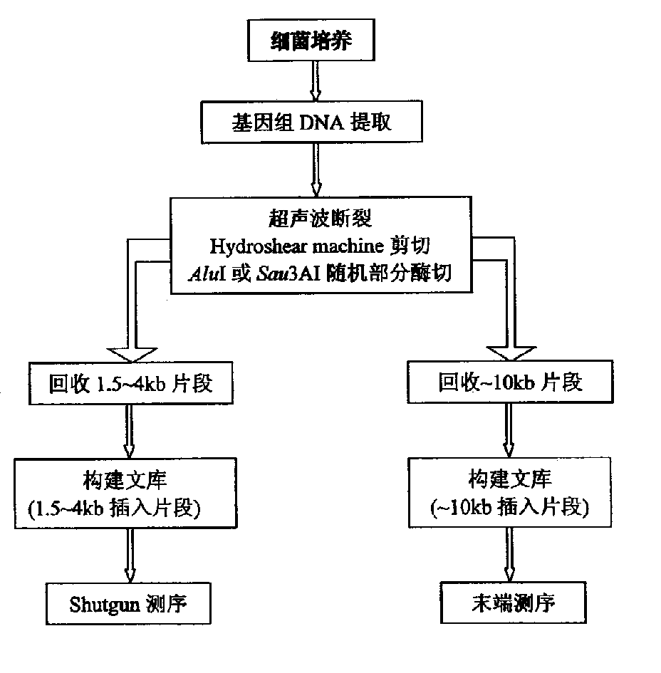 High-temp. resistant isocitric dehydrogenase gene, its coded polypeptide and its preparation method