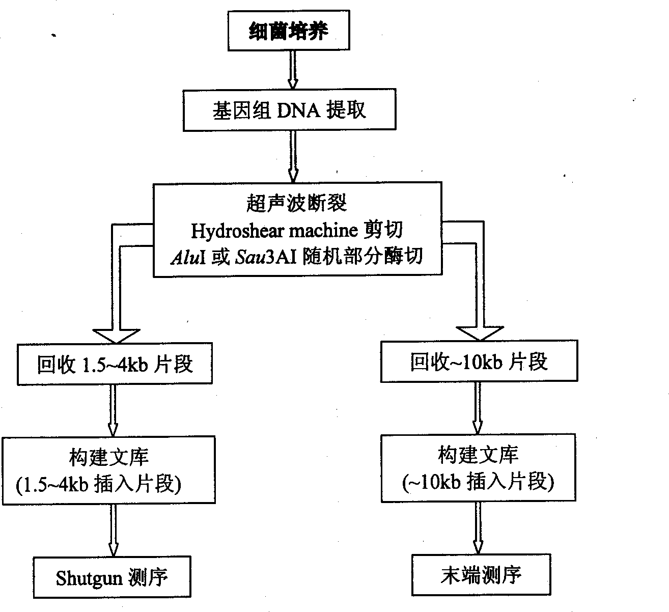 High-temp. resistant isocitric dehydrogenase gene, its coded polypeptide and its preparation method