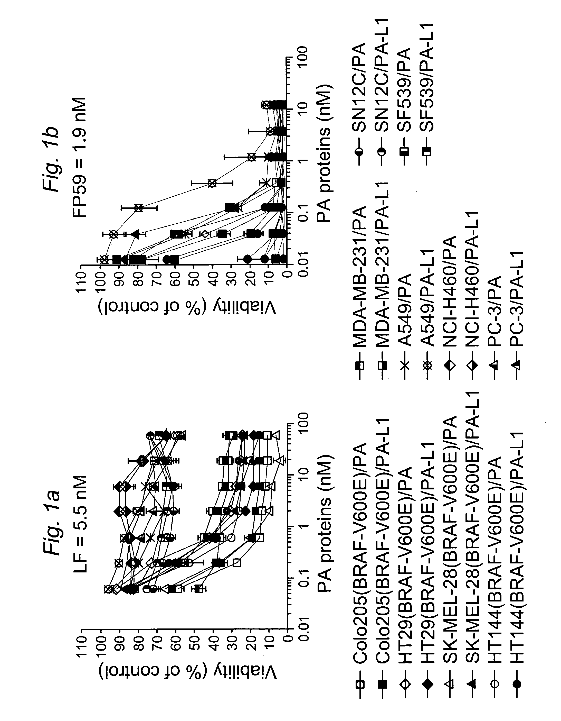 Human cancer therapy using engineered matrix metalloproteinase-activated anthrax lethal toxin that targets tumor vasculatuture