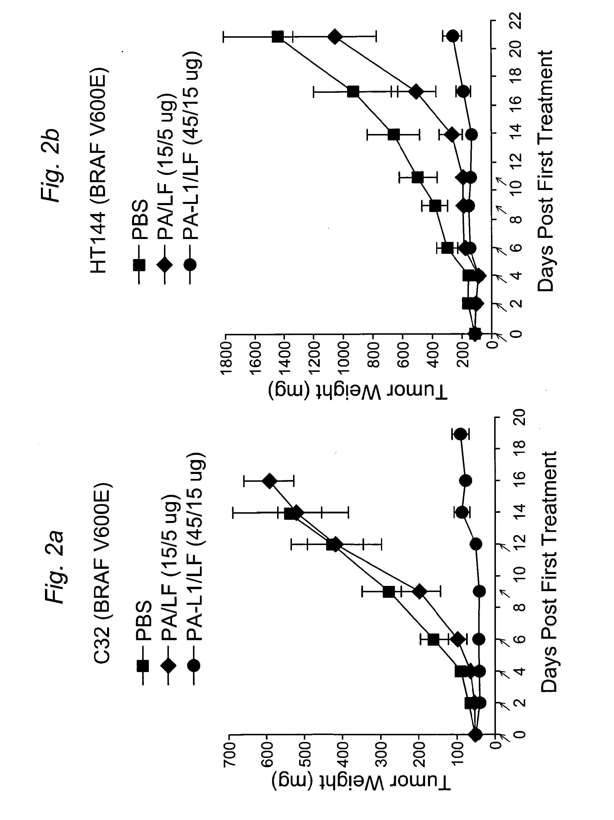 Human cancer therapy using engineered matrix metalloproteinase-activated anthrax lethal toxin that targets tumor vasculatuture