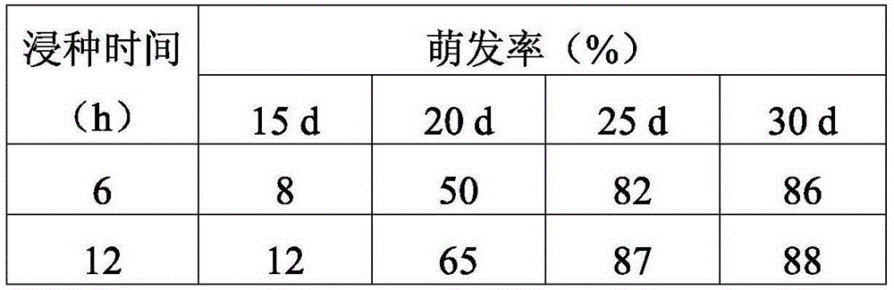 A kind of method for promoting the germination of yulang umbrella seeds