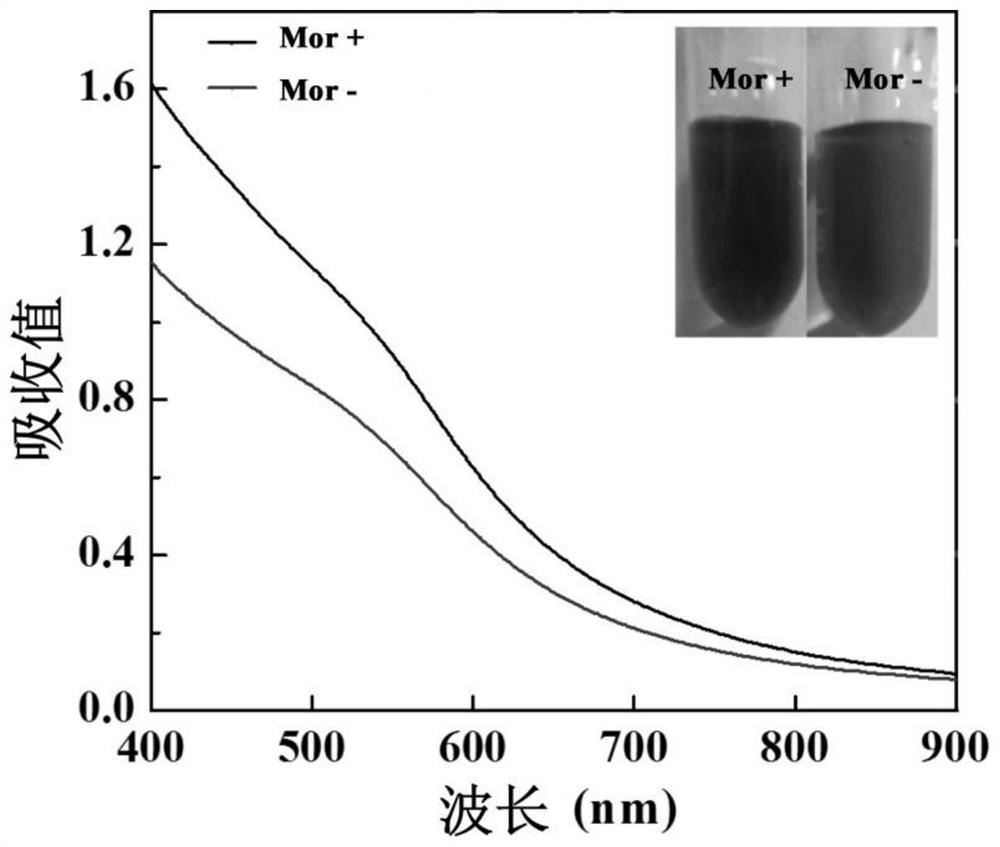 A preparation method of zwitterions and morpholine-modified polyamide-amine dendrimers wrapped with gold nanoparticles