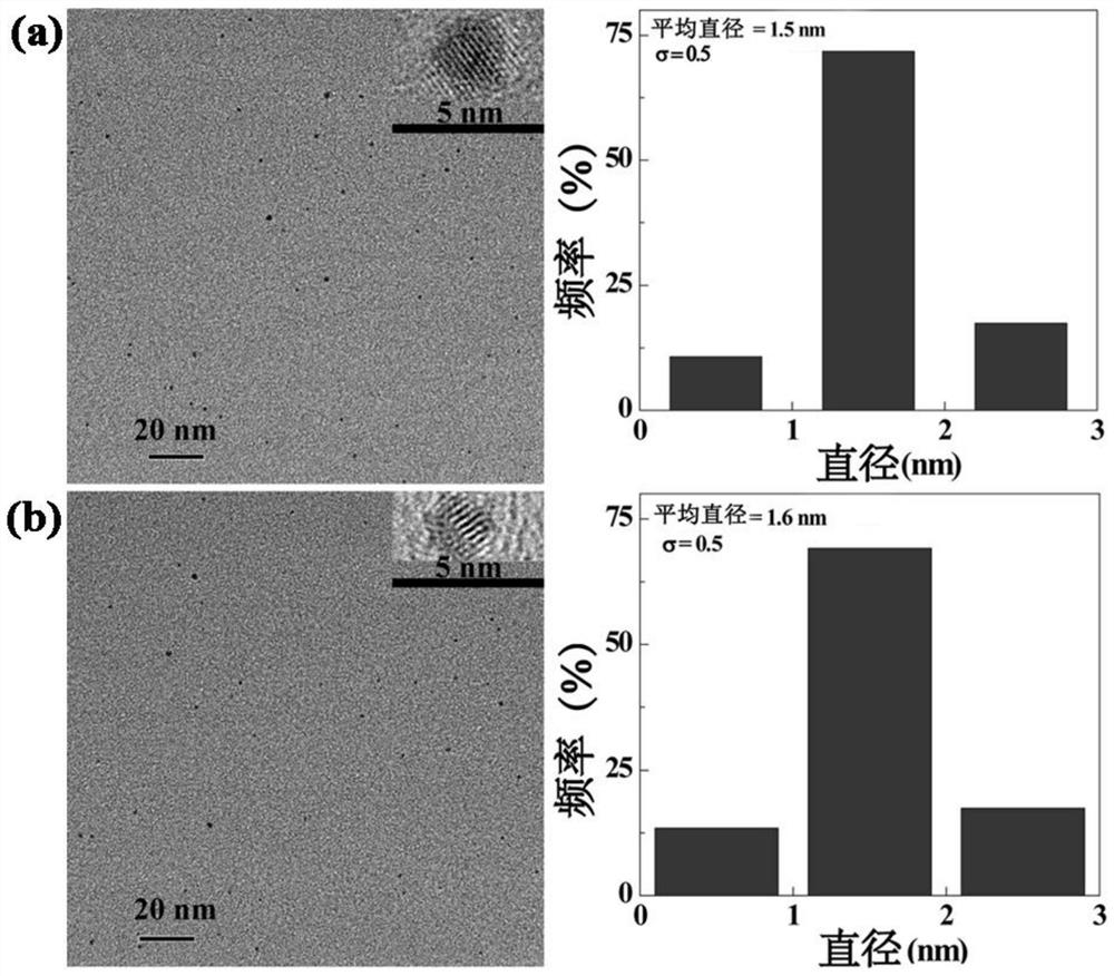 A preparation method of zwitterions and morpholine-modified polyamide-amine dendrimers wrapped with gold nanoparticles