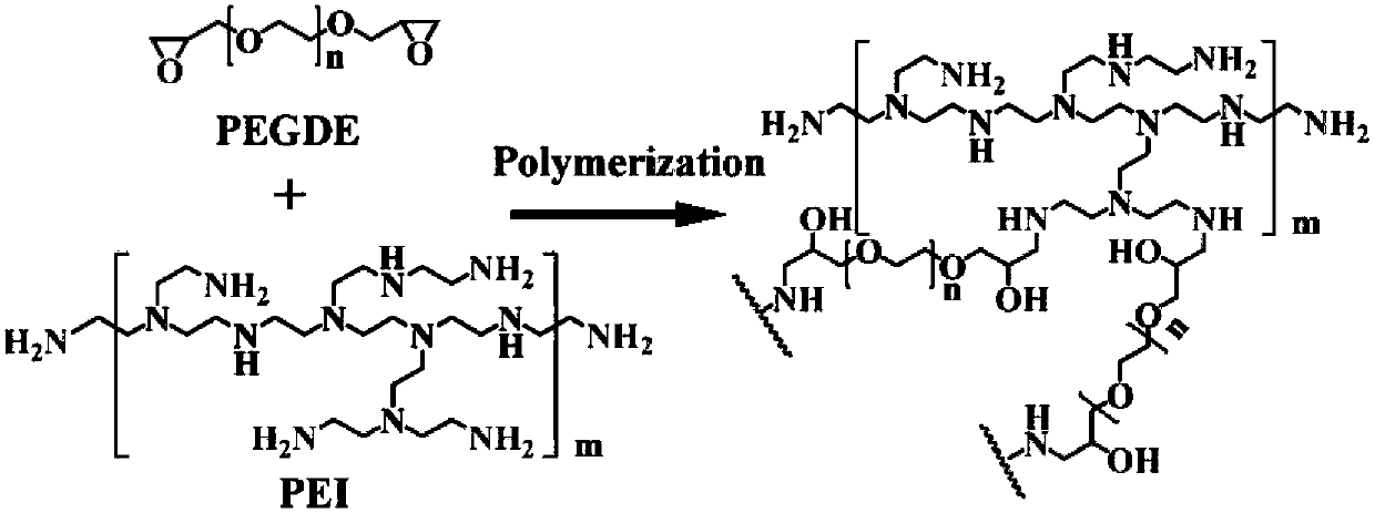 Polarity gel electrolyte and application thereof to solid-state lithium sulfur battery