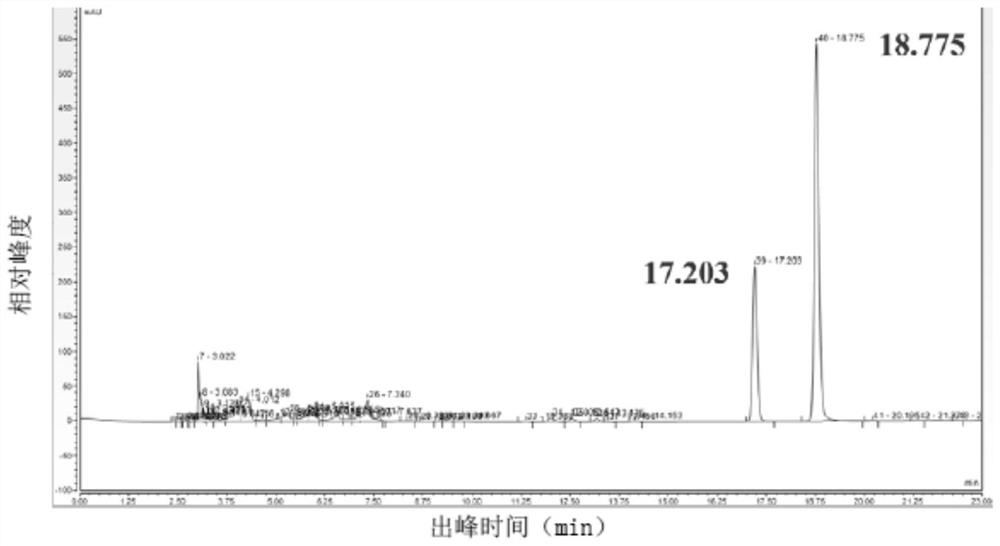 Genetically engineered bacterium for synthesizing vanillin and application of genetically engineered bacterium