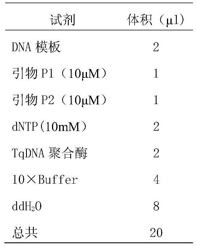 Artificial antigen and kit for combined detection of eb virus rta protein antibody and eb virus early antigen ea antibody