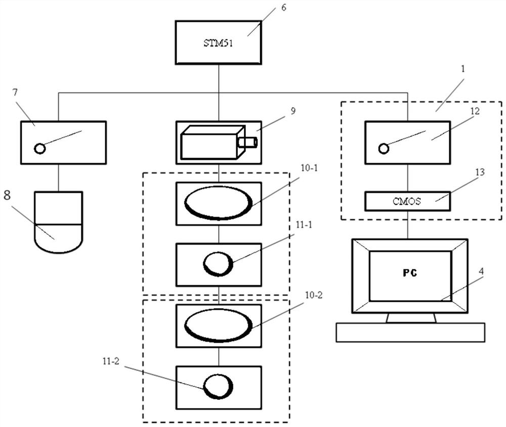 Device and method for detecting activity of microalgae in ballast water with polarized optical fluidics