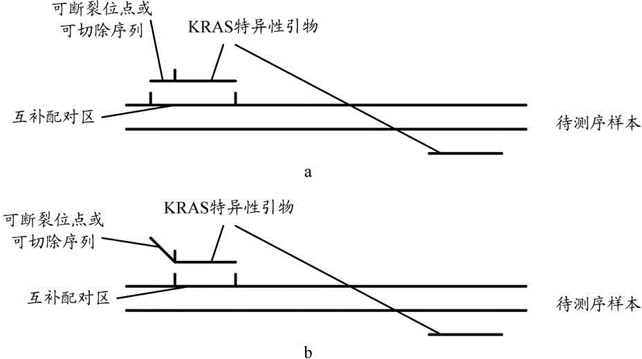 KRAS gene mutation detection method and kit