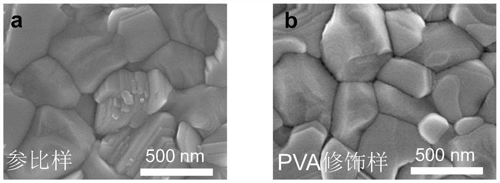 Perovskite solar cell device based on polyvinyl acetate passivation film surface/interface defects and preparation method thereof