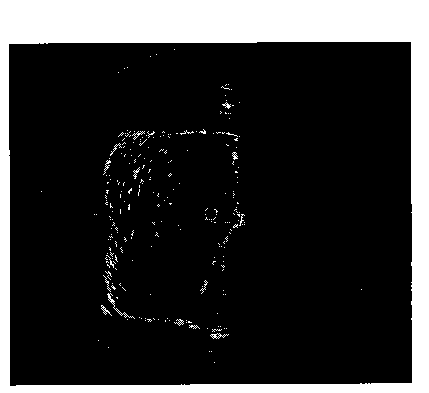 Sonar detecting method for large yellow croaker escaping from deep water net cage and special equipment thereof