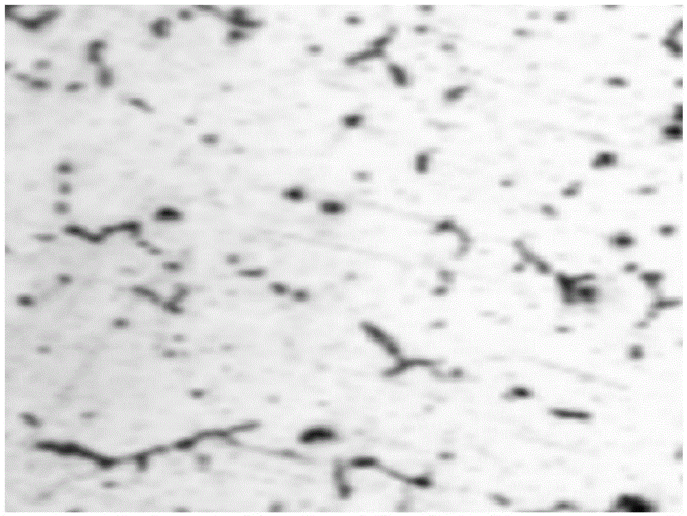 Multi-rare-earth-phase material and preparation method thereof