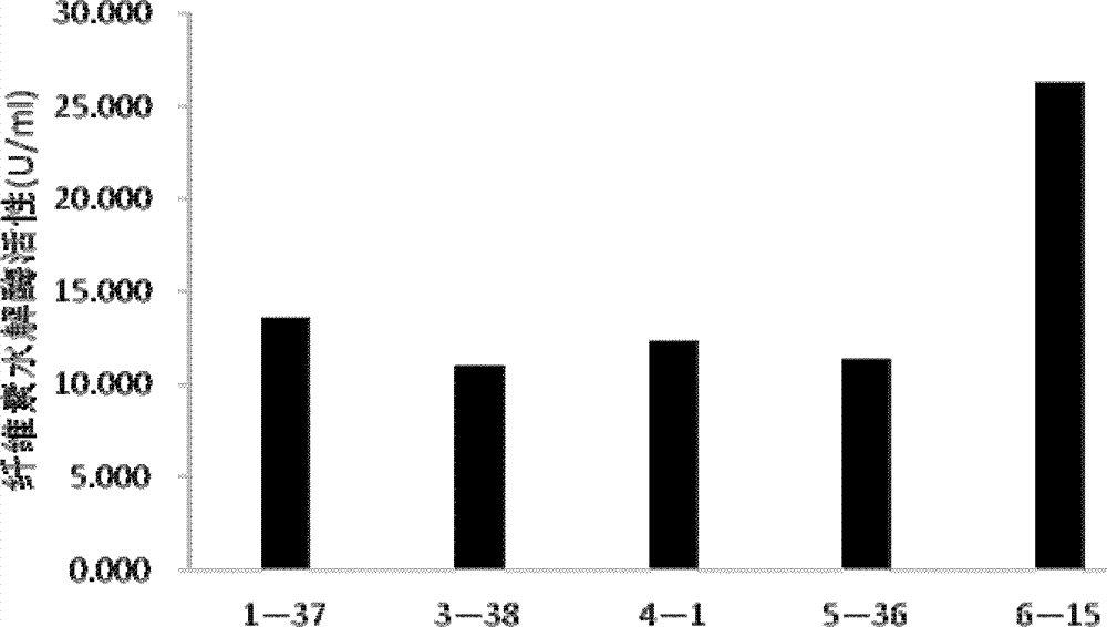 Low temperature resistant cellulose degradation bacteria and application thereof