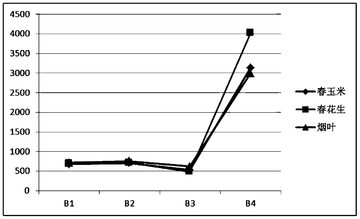 Peanut planting area remote sensing identification method and system