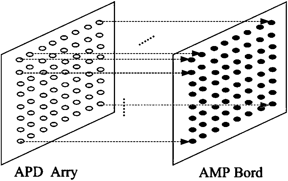 Array amplifier based on frequency detection