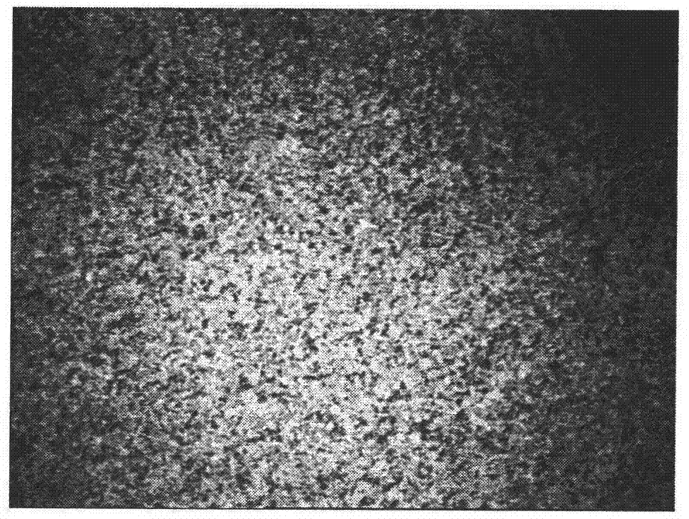 Packing mold material used in investment precision casting