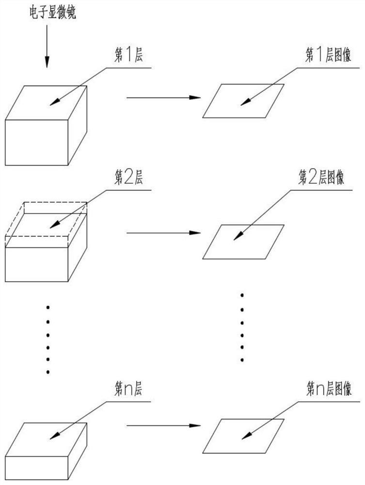 Inorganic nonmetallic material performance analysis method based on three-dimensional random reconstruction