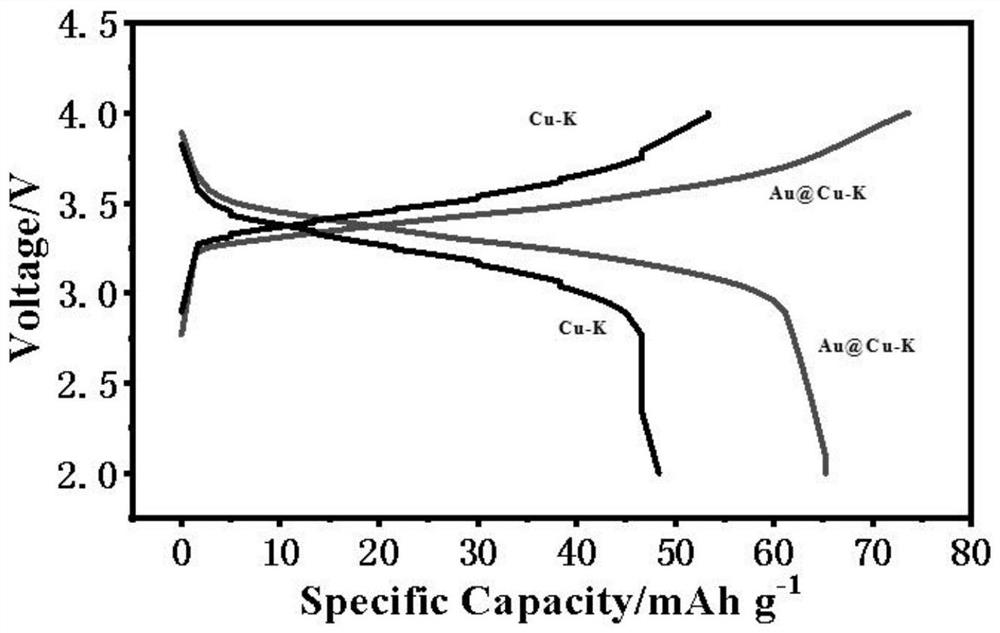 Potassium metal battery negative electrode, preparation method and application thereof, and potassium metal battery