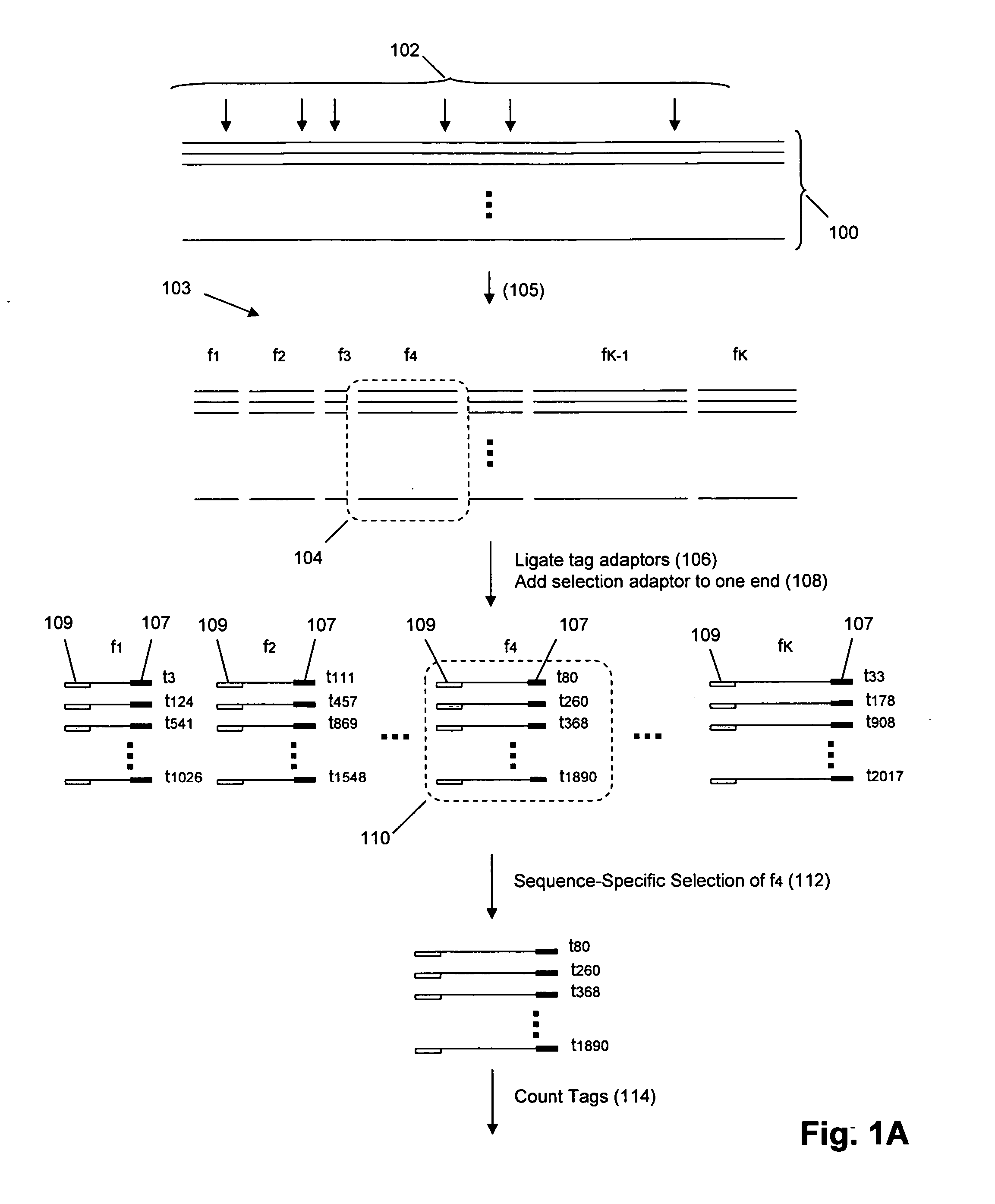 Molecular counting