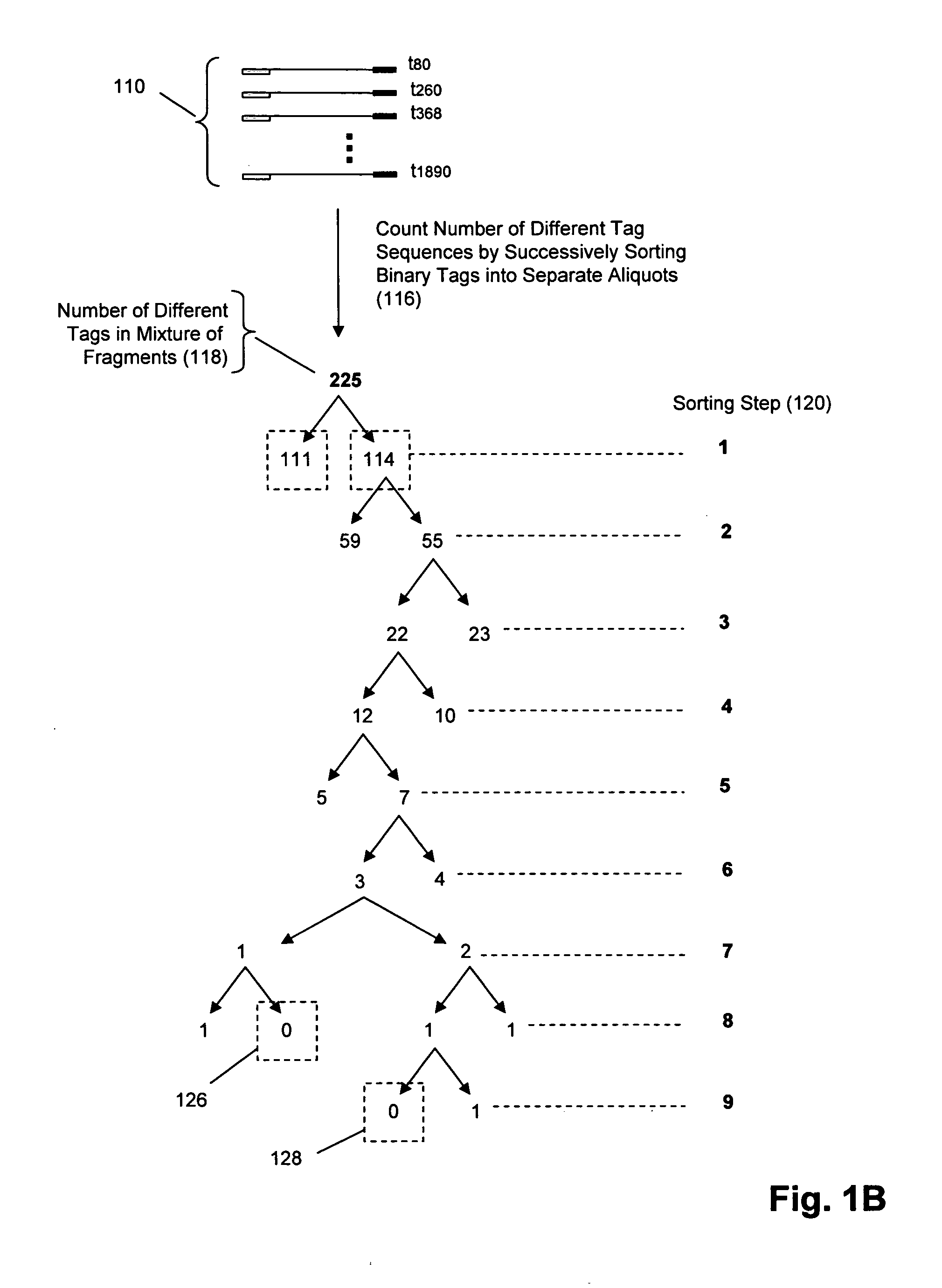 Molecular counting