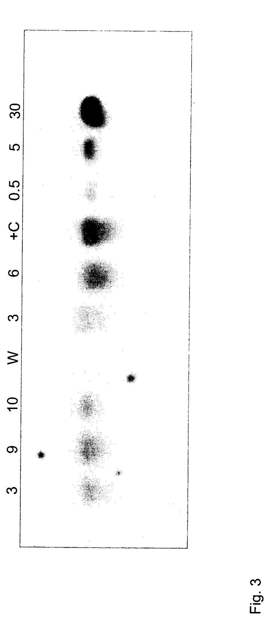 Molecular mechanims for gene contaiment in plants